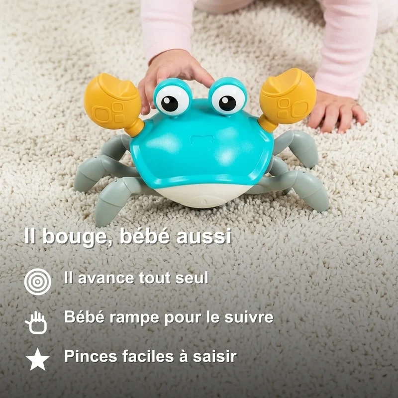 Willy Le Crabe Qui Marche - Jouet d'Éveil pour Bébé