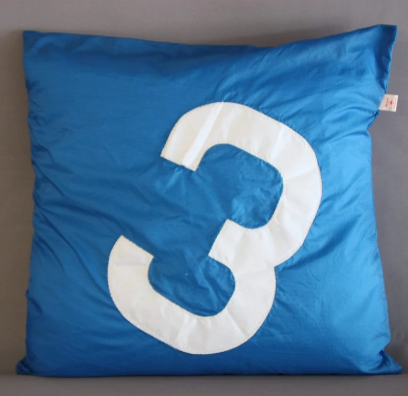 Coussin 65