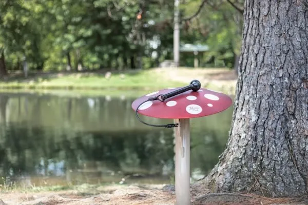 Mushrooms
