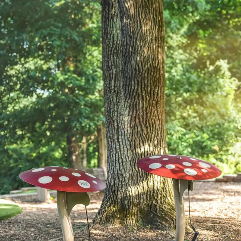 Mushroom Ensemble
