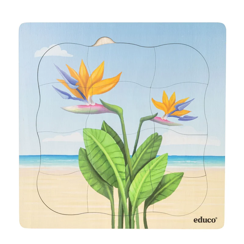 Puzzles évolutifs à la plage - coffret 5 puzzles