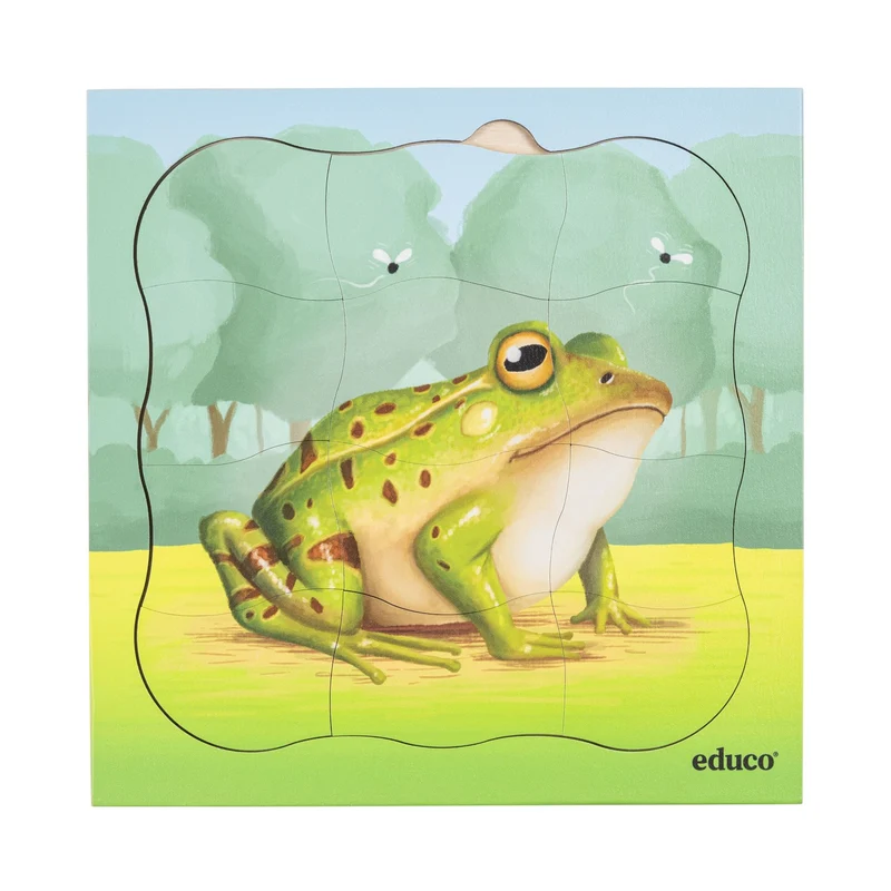 Puzzle évolutif dans la forêt - la grenouille