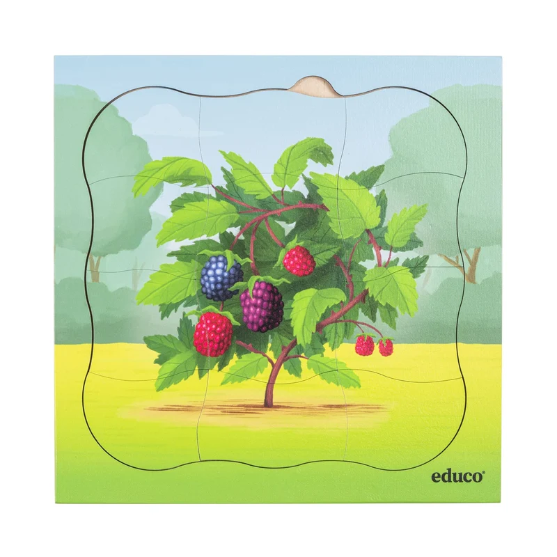 Puzzles évolutifs dans la forêt - coffret 5 puzzles