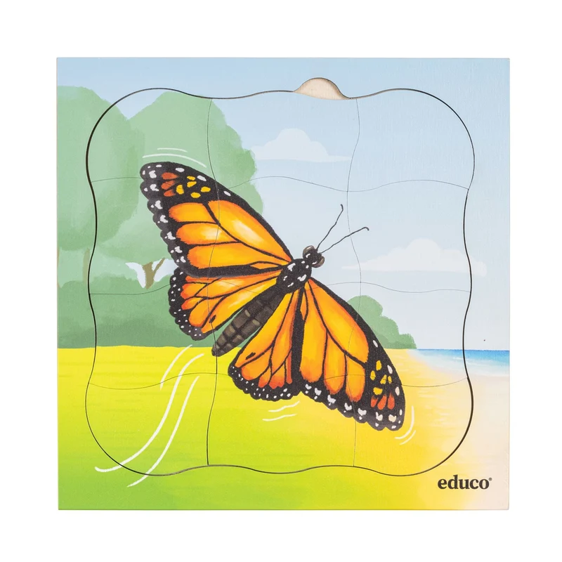 Puzzle évolutif dans la forêt - le papillon