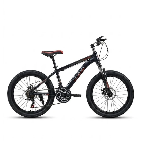 Vélo Milayo 20 pouce garçons