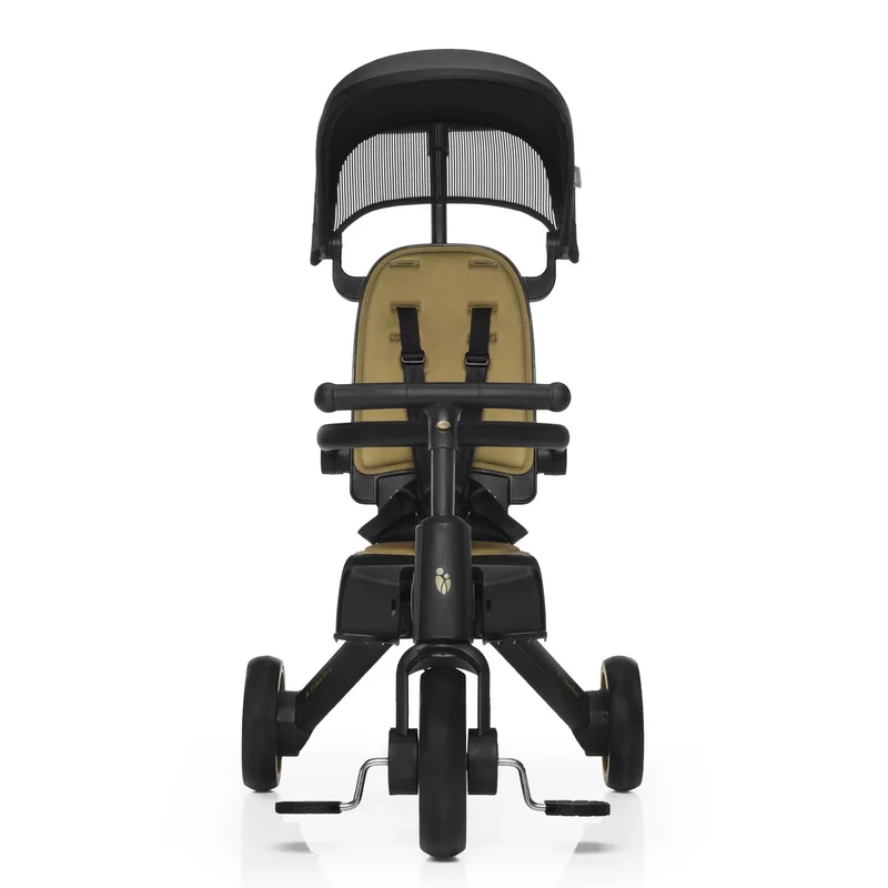 Tricycle X Trike Pro