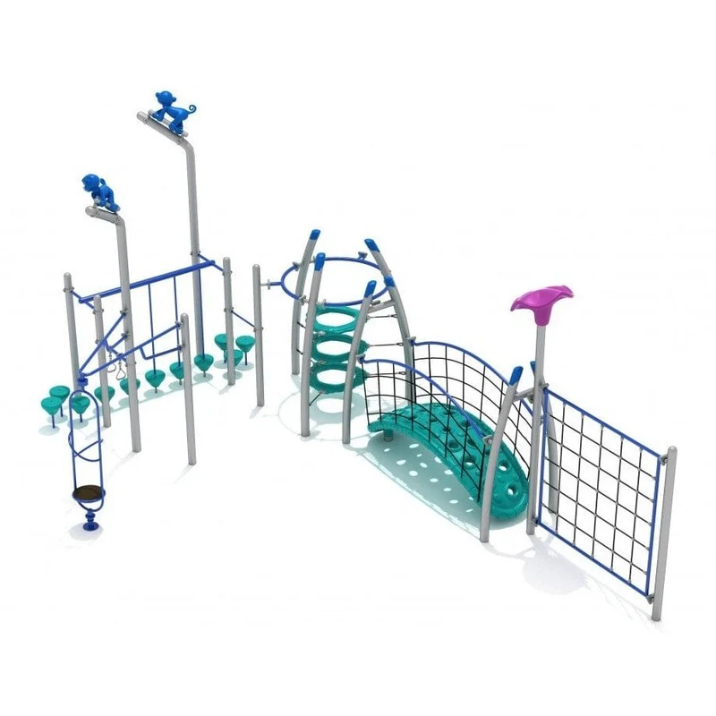 Dellview Jungle Gym