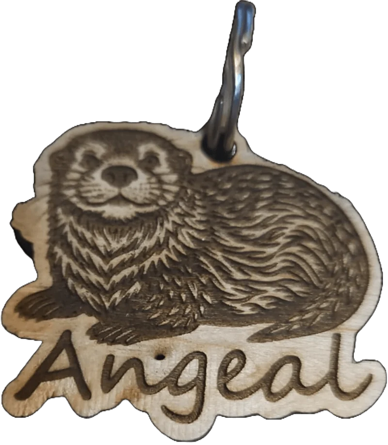 Médaille pour chien