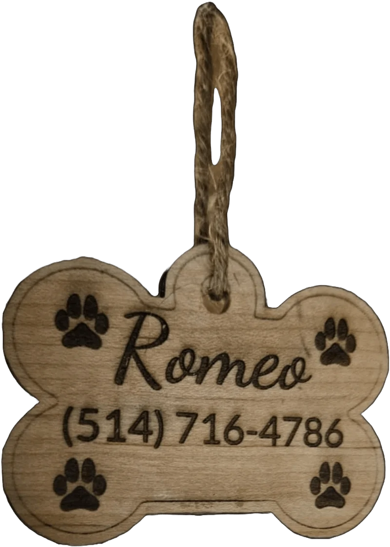 Médaille pour chien