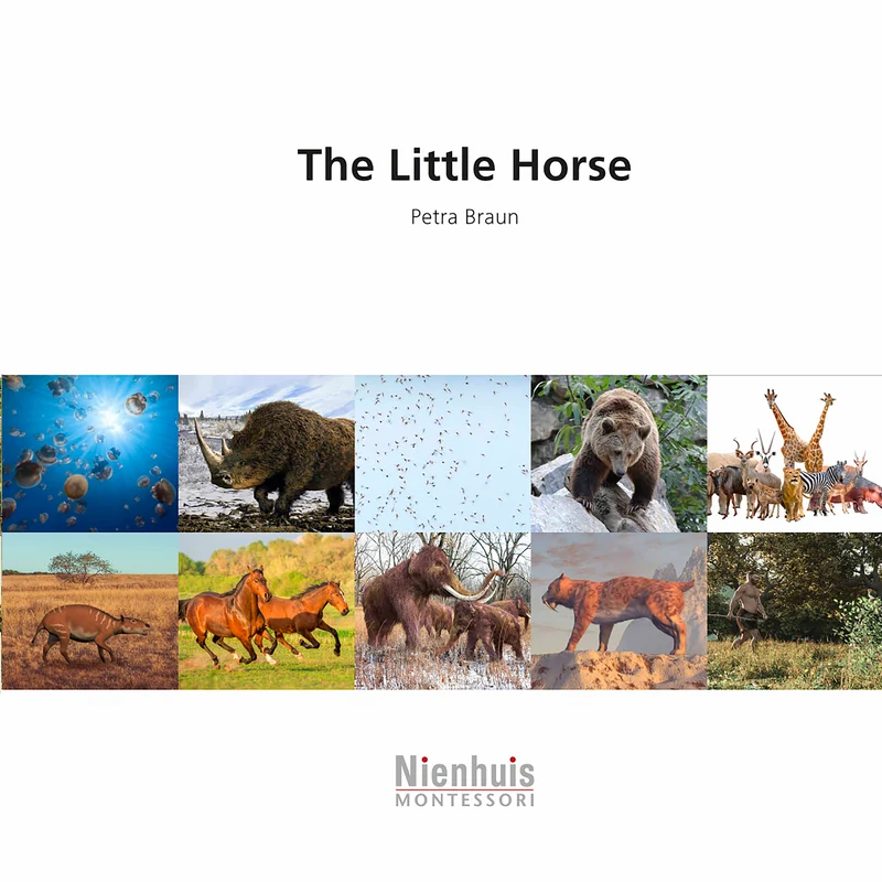 The Little Horse - Nienhuis AMI