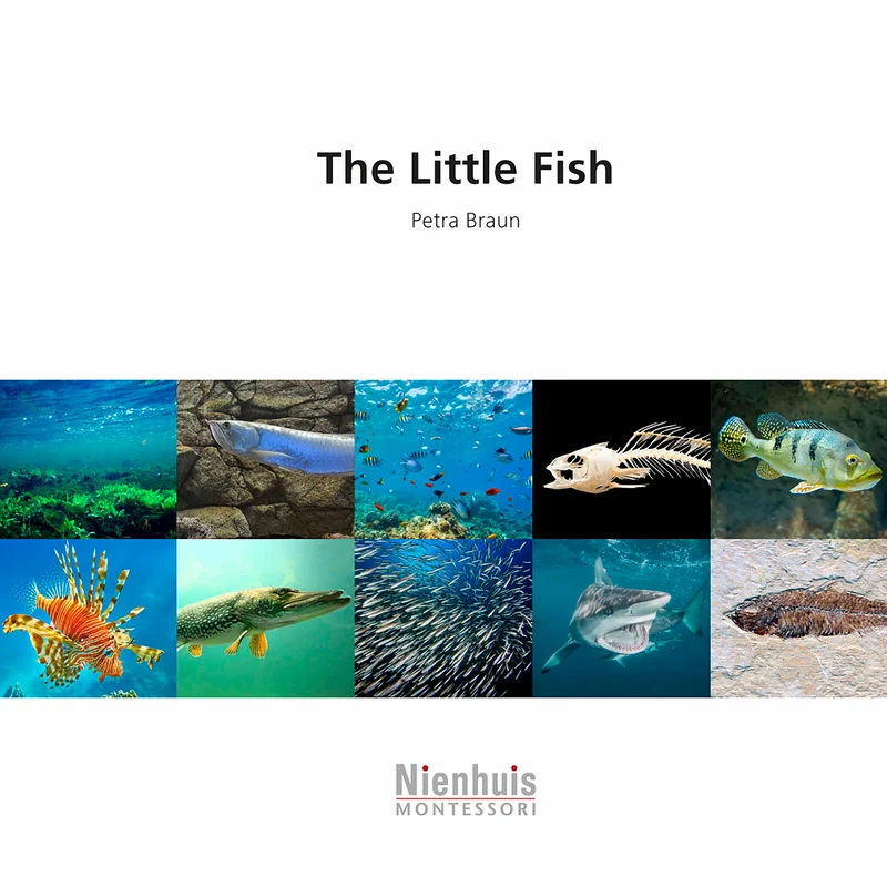 The Little Fish - Nienhuis AMI