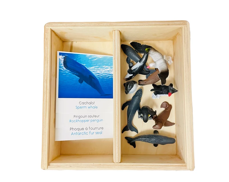 Coffret figurines l'Antarctique