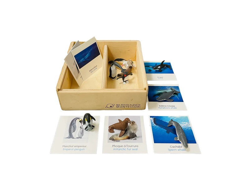 Coffret figurines l'Antarctique