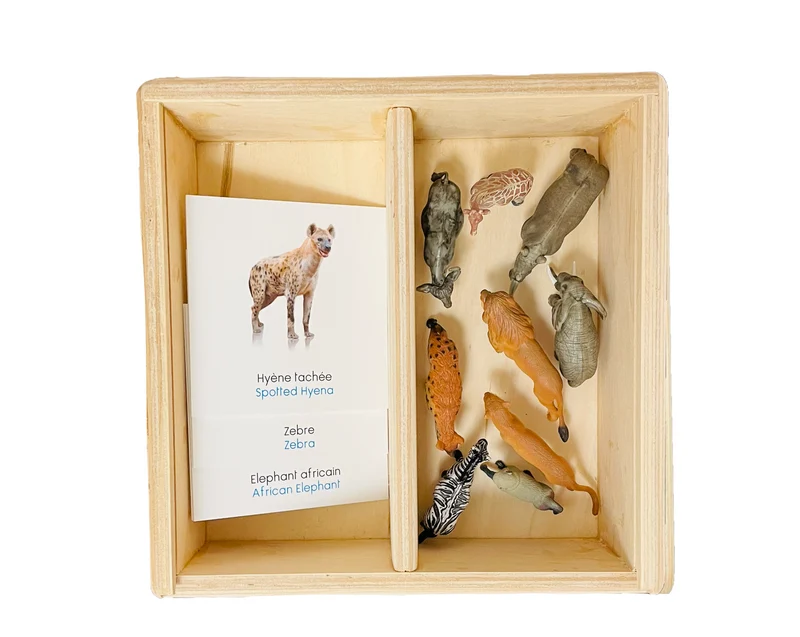 Coffret figurines les animaux d'Afrique du Sud
