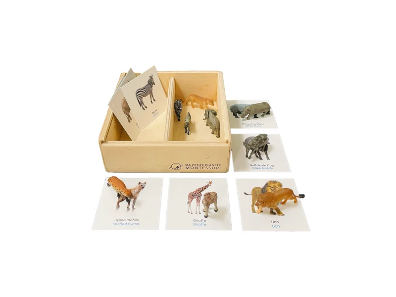 Coffret figurines les animaux d'Afrique du Sud