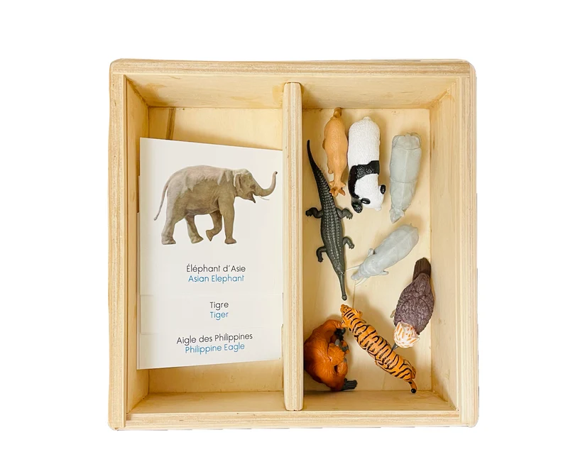 Coffret figurines les animaux d'Asie