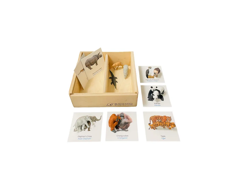 Coffret figurines les animaux d'Asie