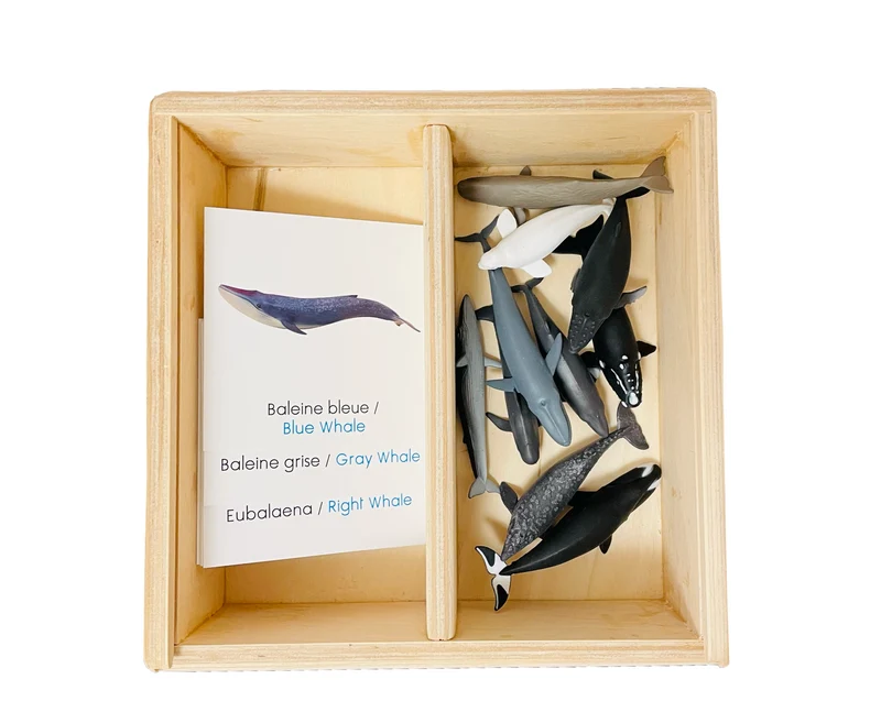 Coffret figurines les baleines