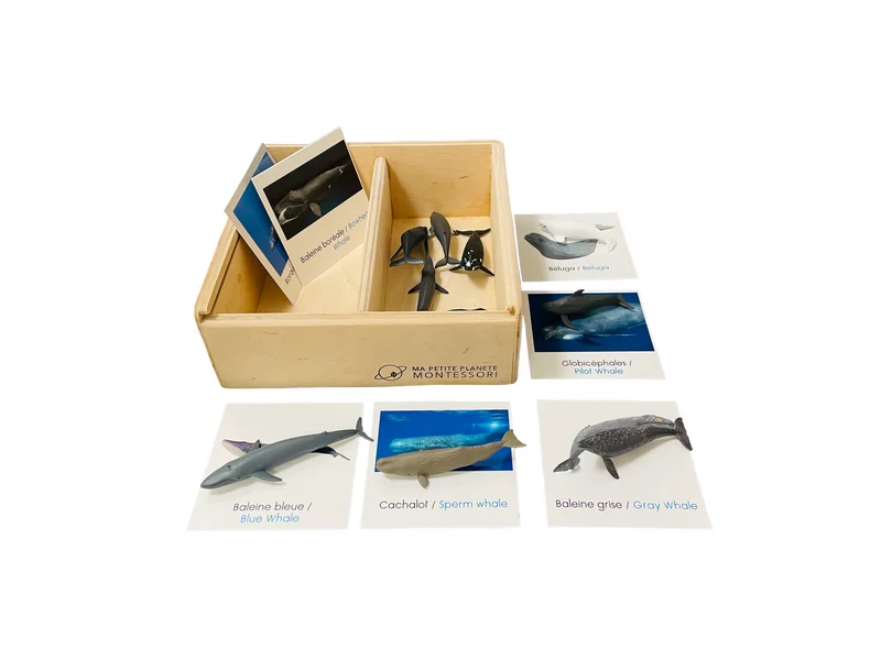 Coffret figurines les baleines