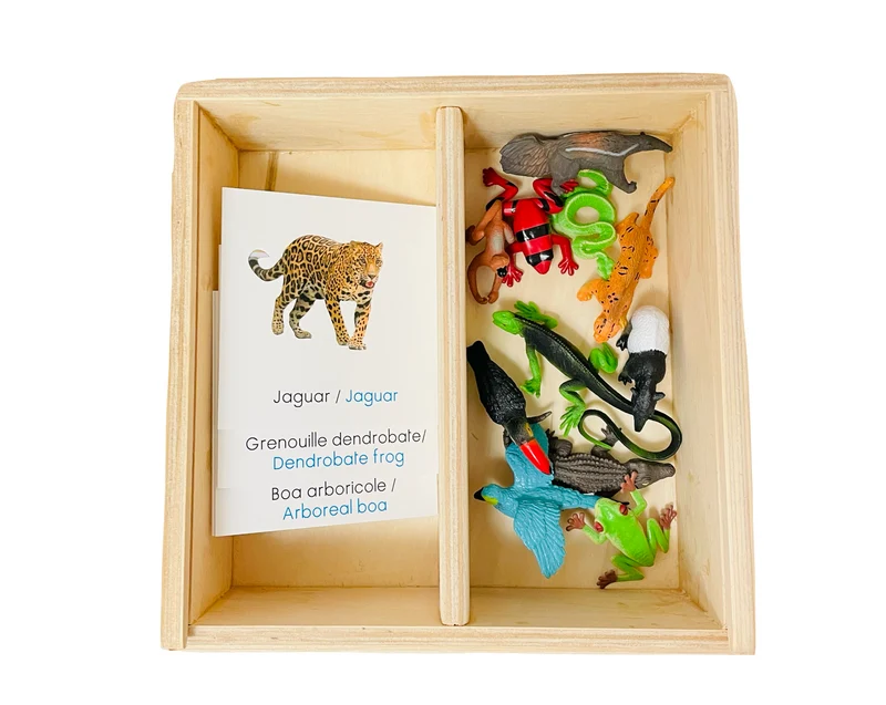 Coffret figurines les animaux de la forêt tropicale