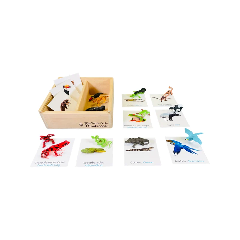 Coffret figurines les animaux de la forêt tropicale