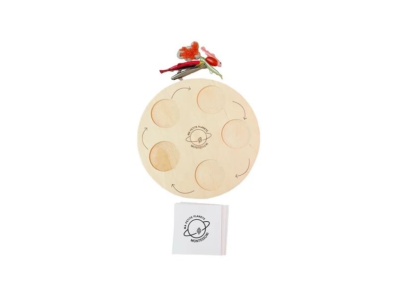 Coffret figurines le cycle de vie du saumon