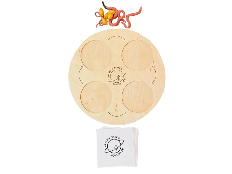 Coffret figurines le cycle de vie du lombric