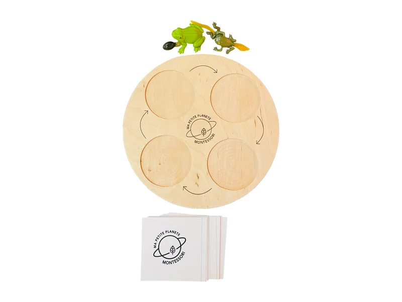 Coffret figurines le cycle de vie de la grenouille