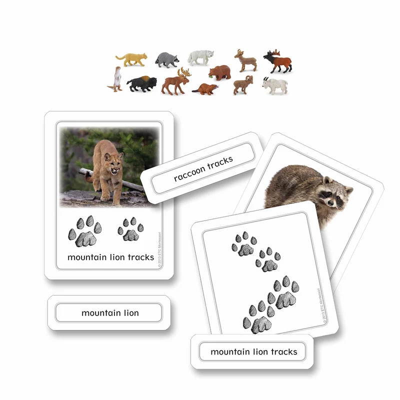Traces d'animaux nord-américains avec objets (en anglais) - Nienhuis AMI