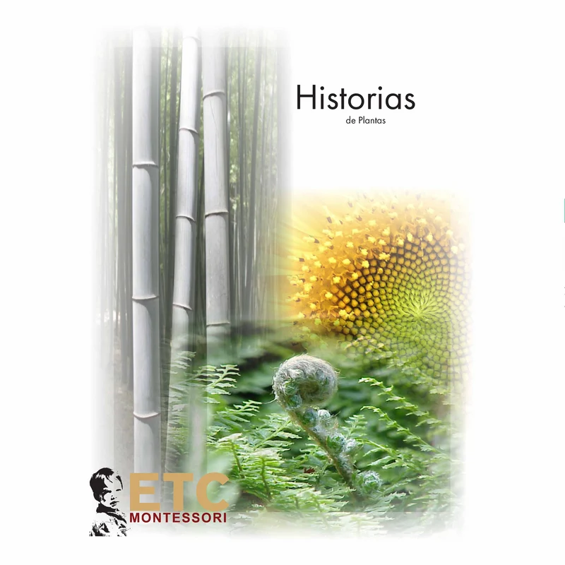 Plant Stories - Nienhuis AMI