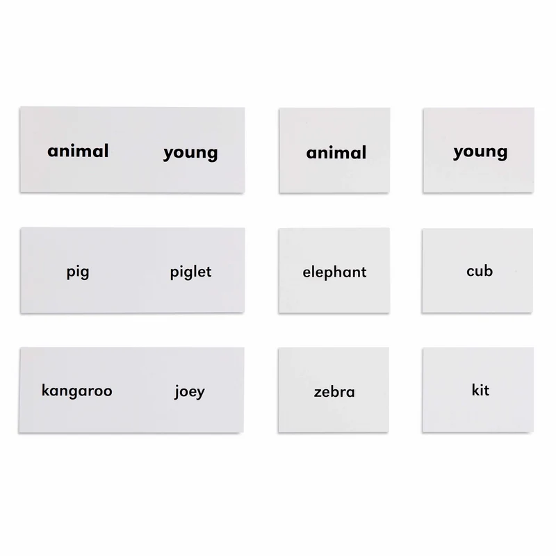 Les animaux et leurs petits (en anglais) - Nienhuis AMI
