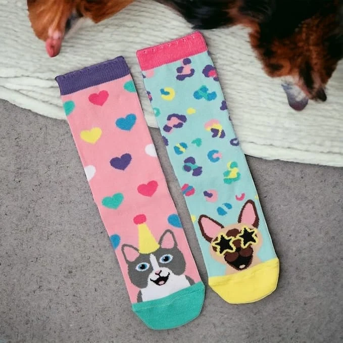 KITTEN HEELS – Coffret 6 Chaussettes Dépareillées | United Oddsocks | Taille 37-42