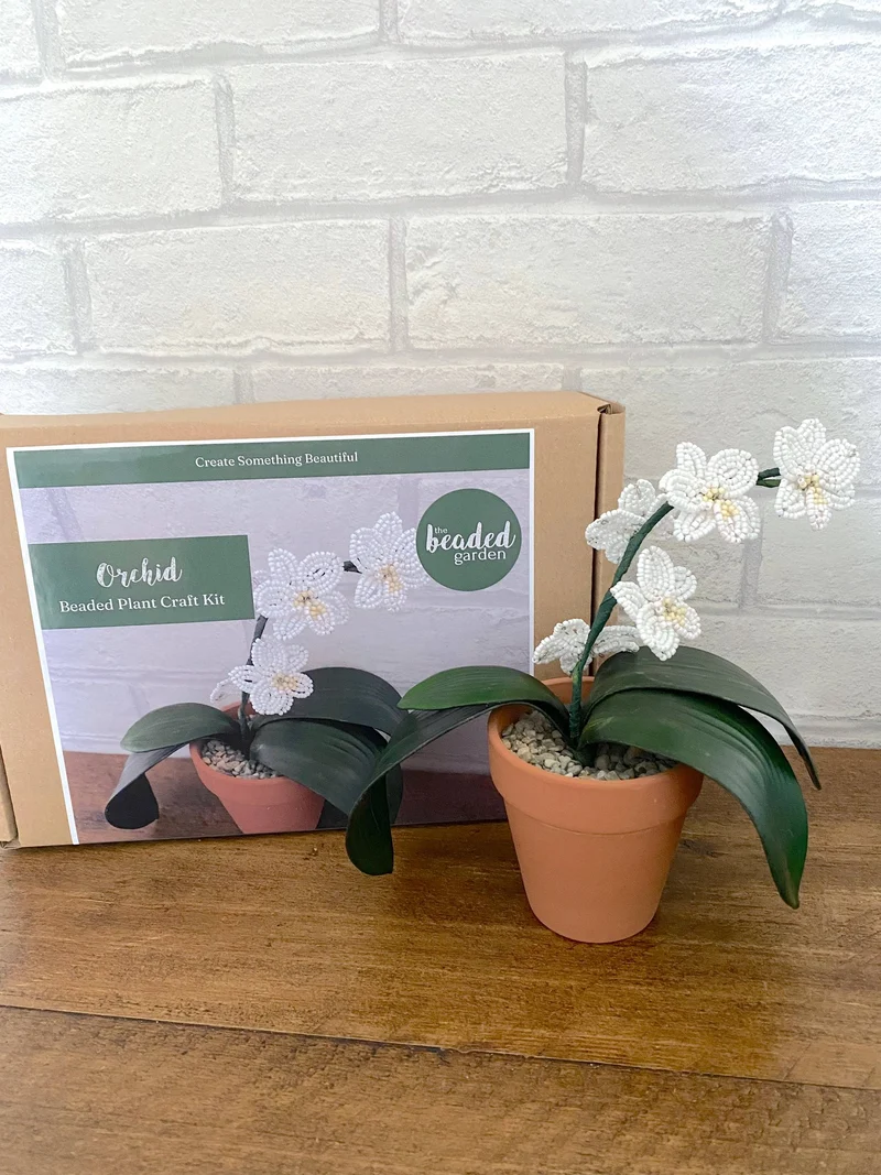 Kit de bricolage pour plantes d'orchidées pour adultes. Cadeau créatif