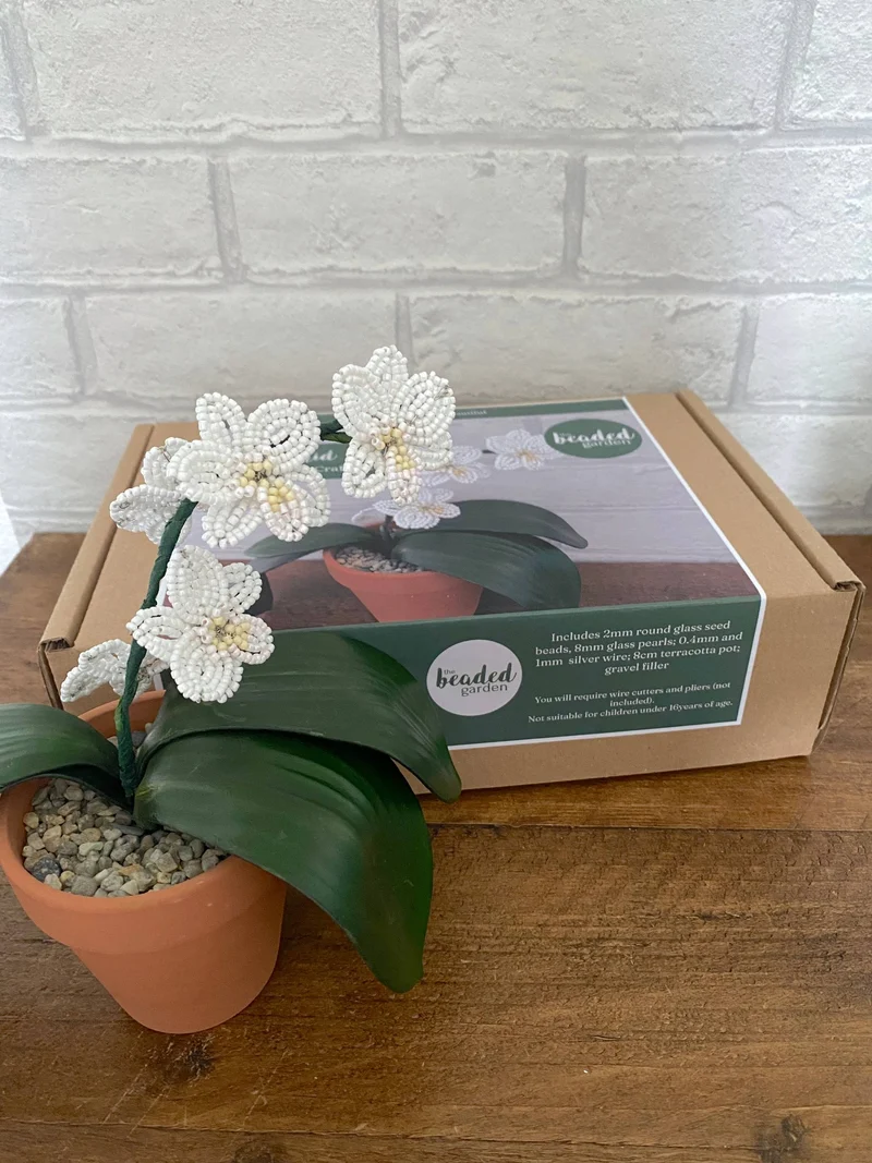 Kit de bricolage pour plantes d'orchidées pour adultes. Cadeau créatif