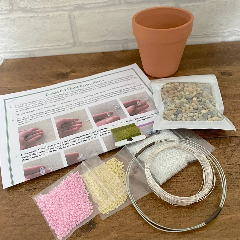 Kit de bricolage pour plantes d'orchidées pour adultes. Cadeau créatif