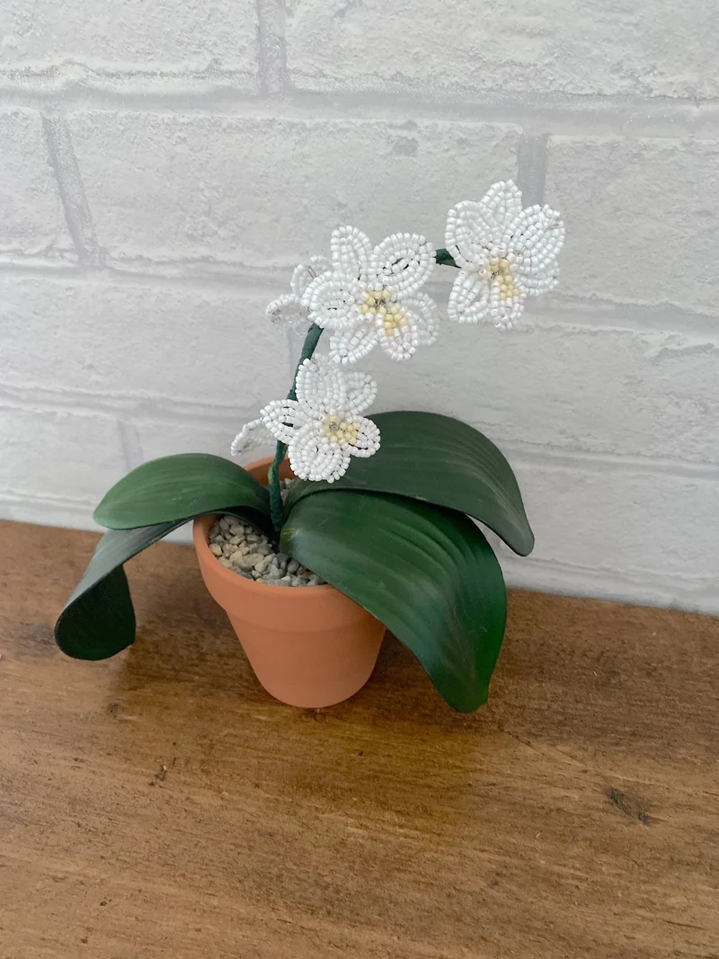 Kit de bricolage pour plantes d'orchidées pour adultes. Cadeau créatif