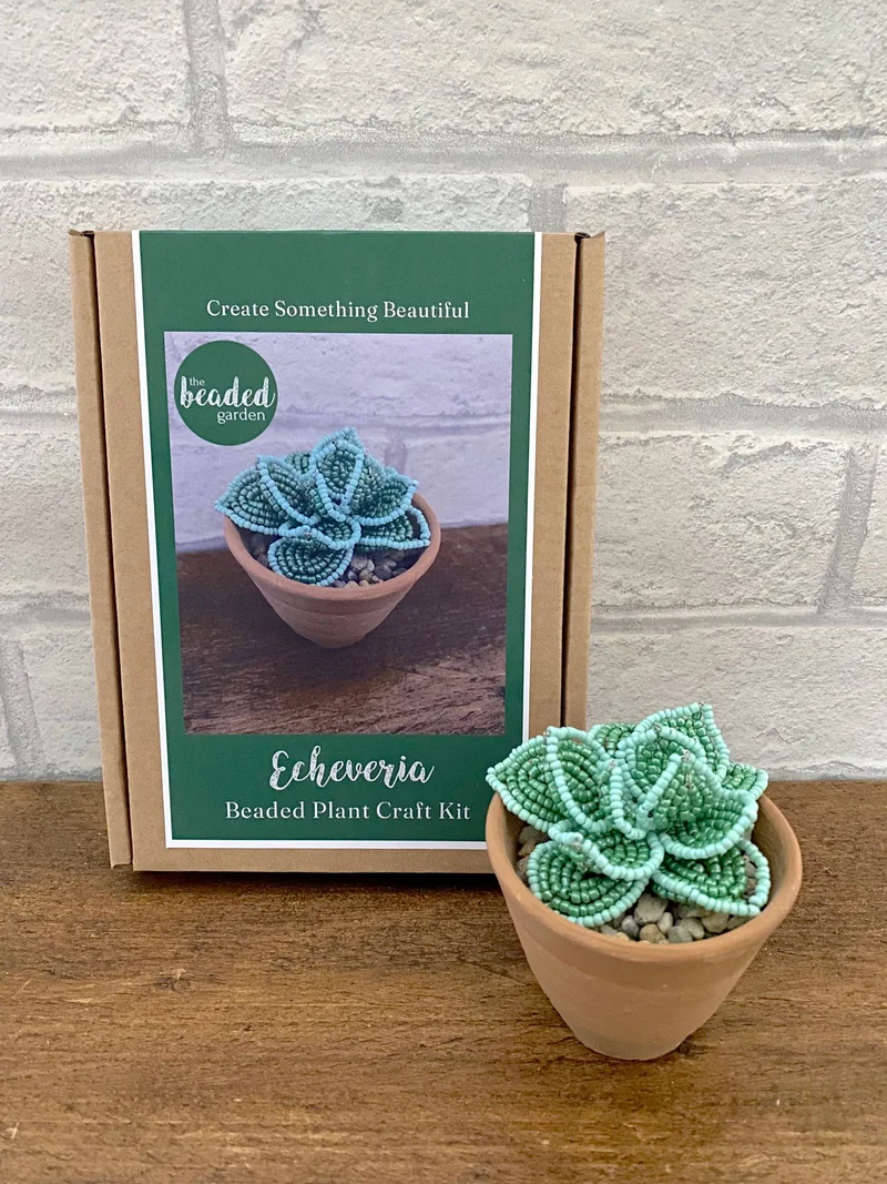 Kit de bricolage perlé - Succulente Echeveria. Une idée cadeau créative