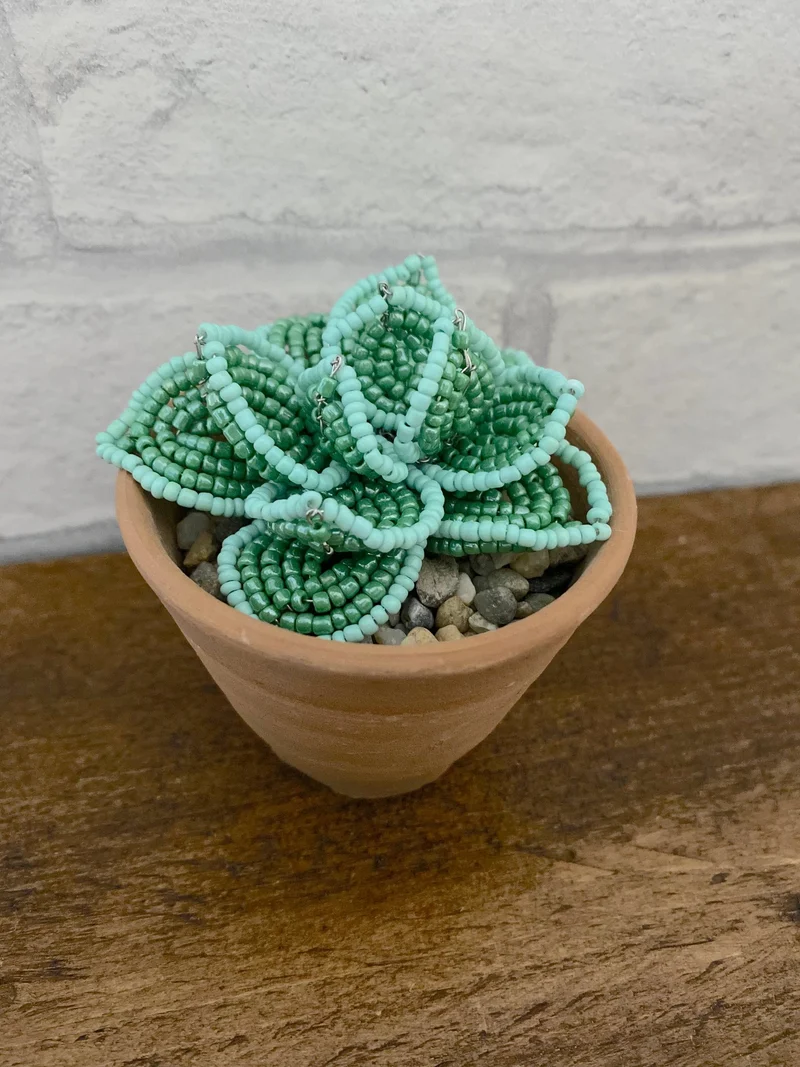 Kit de bricolage perlé - Succulente Echeveria. Une idée cadeau créative