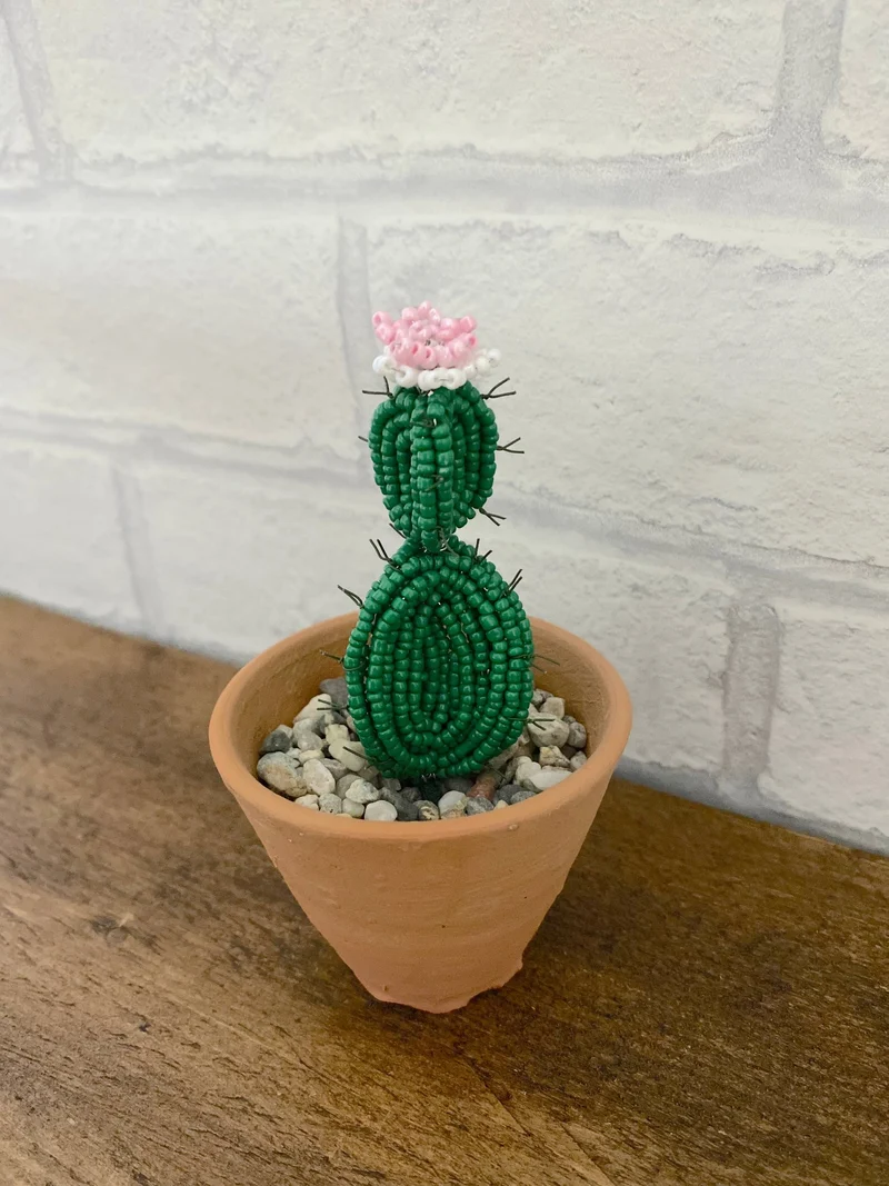 Kit de bricolage perlé - Plante cactus épineuse. Une idée cadeau créative.