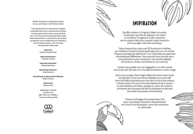 Art thérapie coloriages INSPIRATION Nature