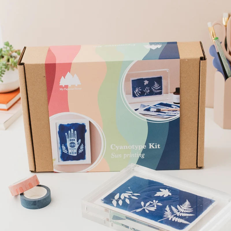 Kit Cyanotype, impression solaire DIY, impression solaire botanique