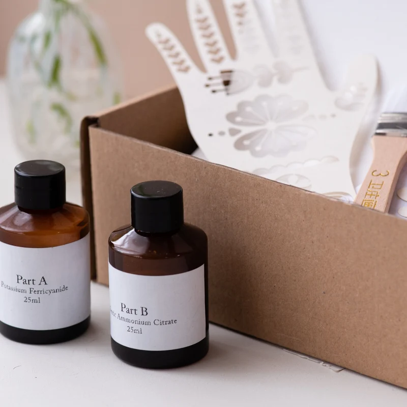 Kit Cyanotype, impression solaire DIY, impression solaire botanique