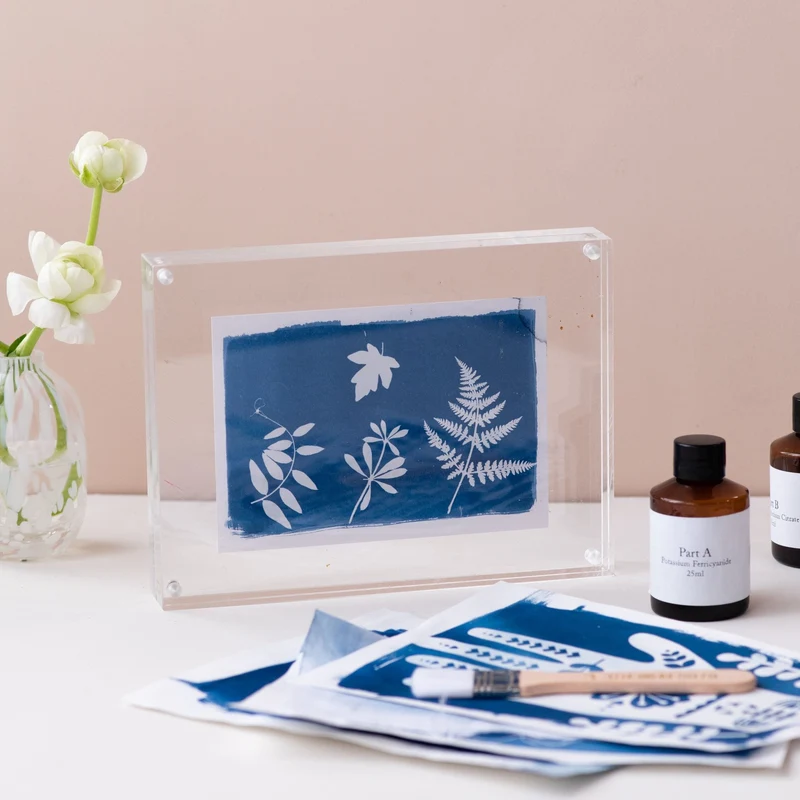 Kit Cyanotype, impression solaire DIY, impression solaire botanique