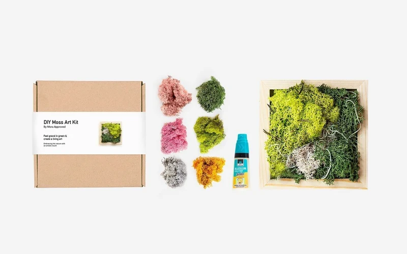 Kit DIY d'art de mousse Mora Approved