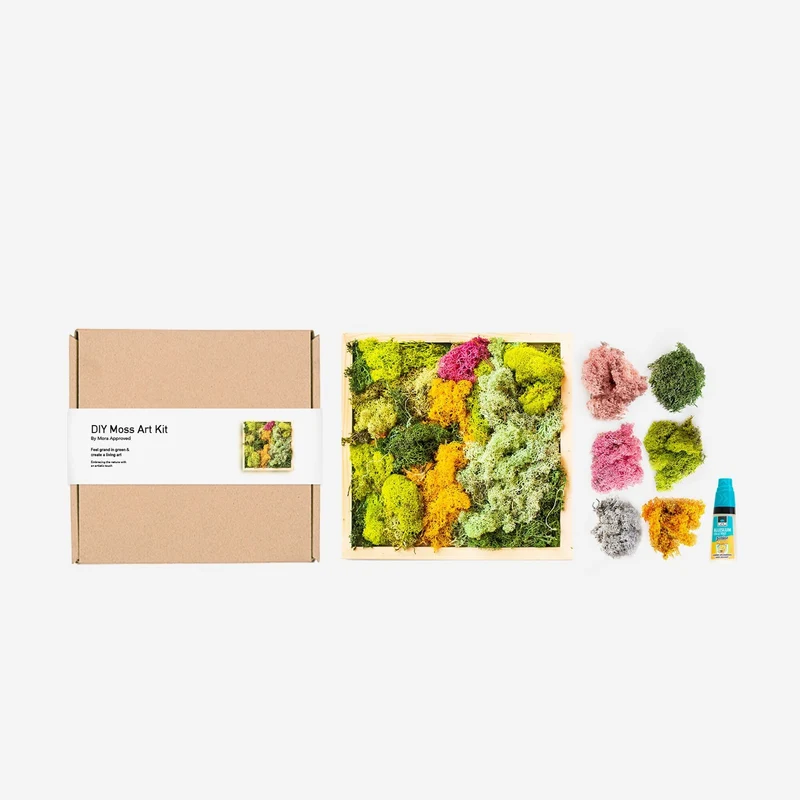 Kit DIY d'art de mousse Mora Approved
