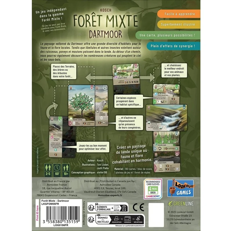 Foret Mixte Dartmoor