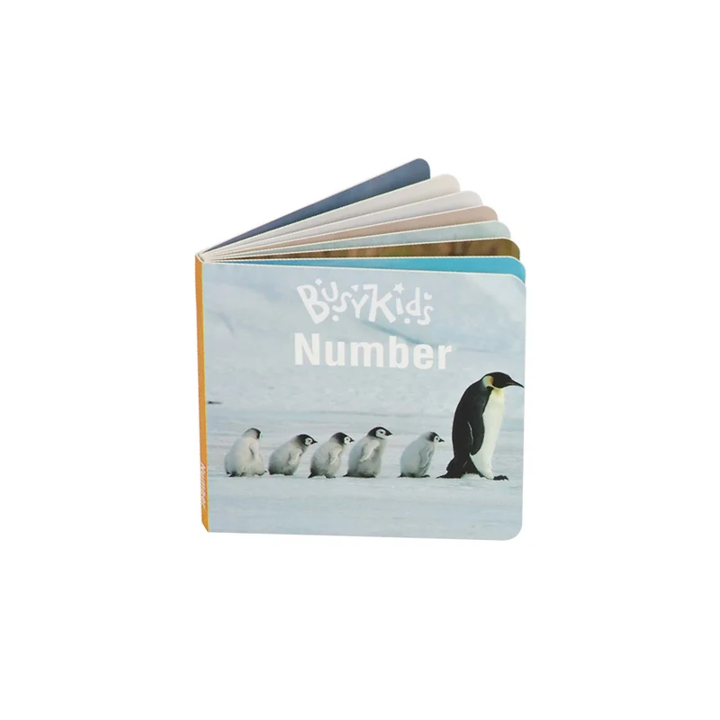Coffret de Jeu Montessori pour les enfants de 24 à 36 mois BusyKids