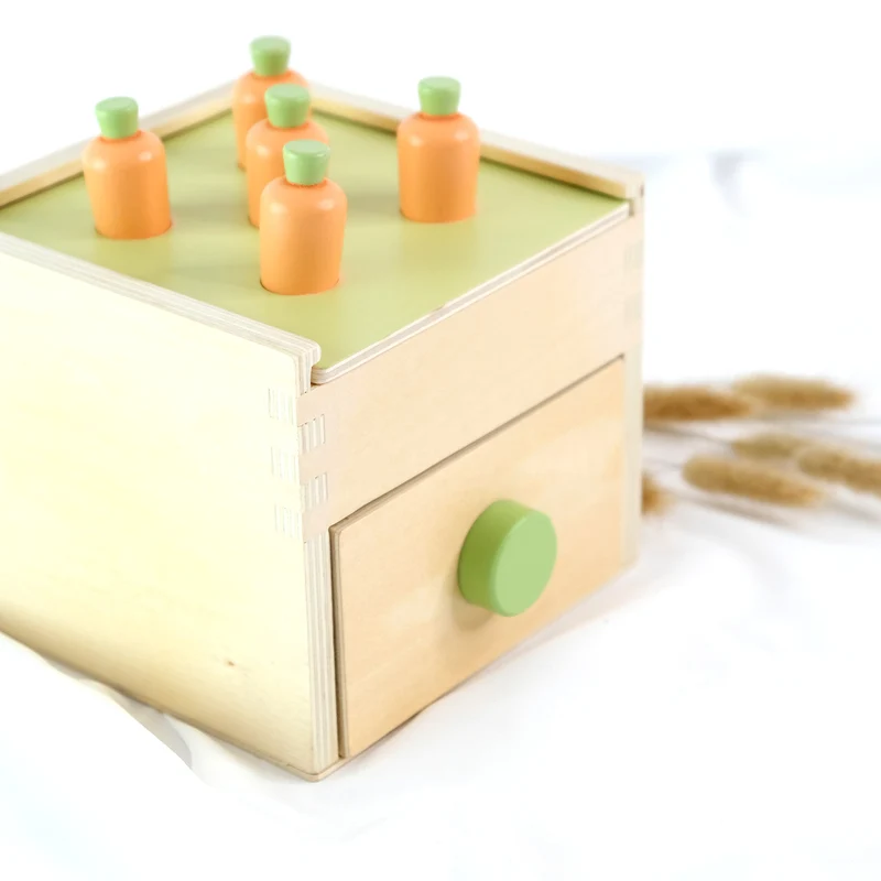 Coffret de Jeu Montessori - ensemble pour les enfants de 18 à 24