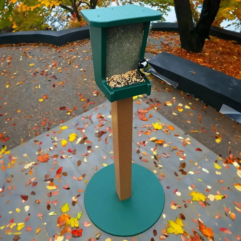 Bird Feeder