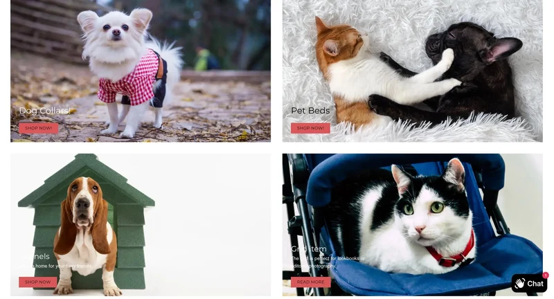 Buy A Mega Pet Dropship Store | Built From Scratch